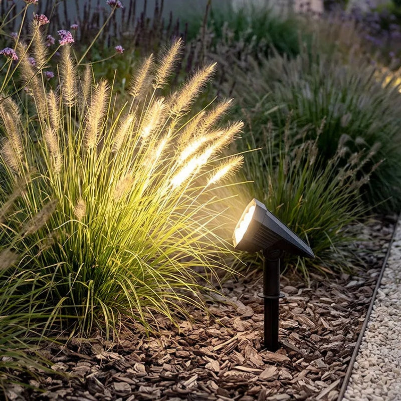 Solvara outdoor solar stake light directing white LED beam toward a garden shrub