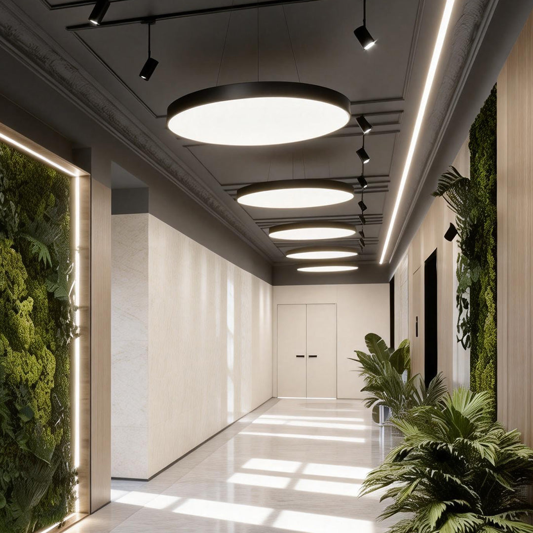 Circular iron frame pendant lights suspended in a modern office corridor